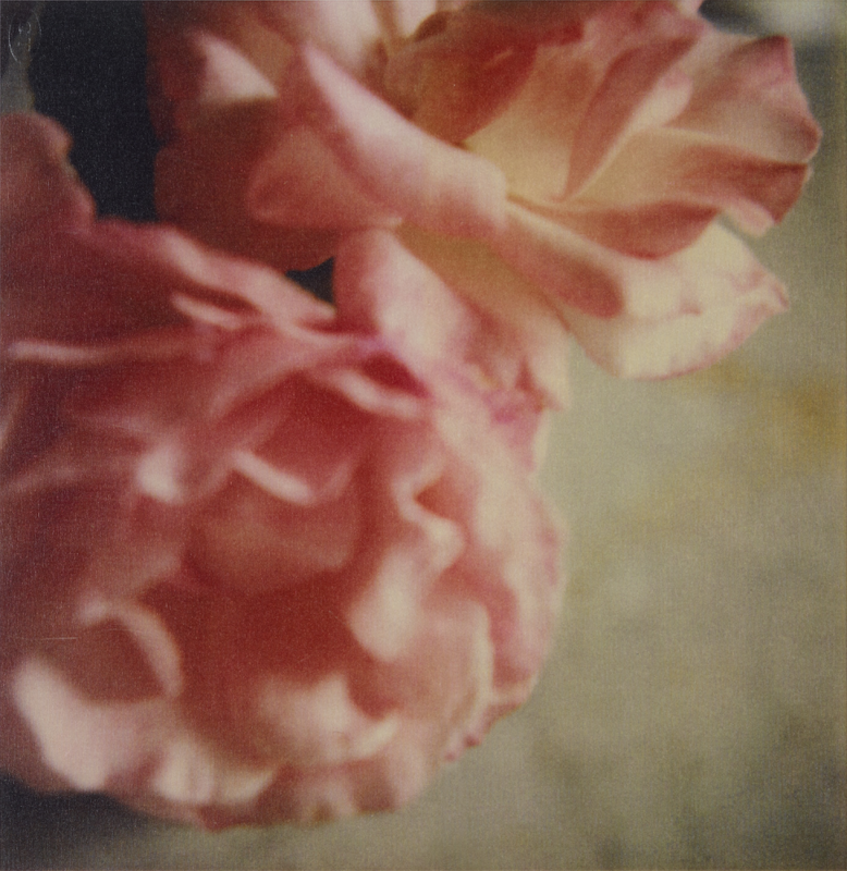 Cy TWOMBLY